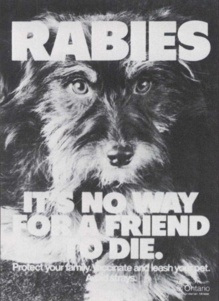 Rabies