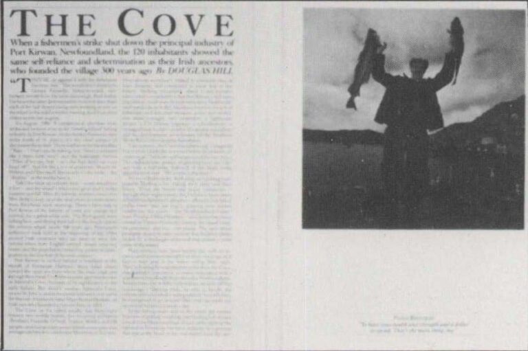 The Cove