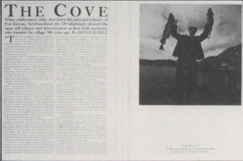 The Cove
