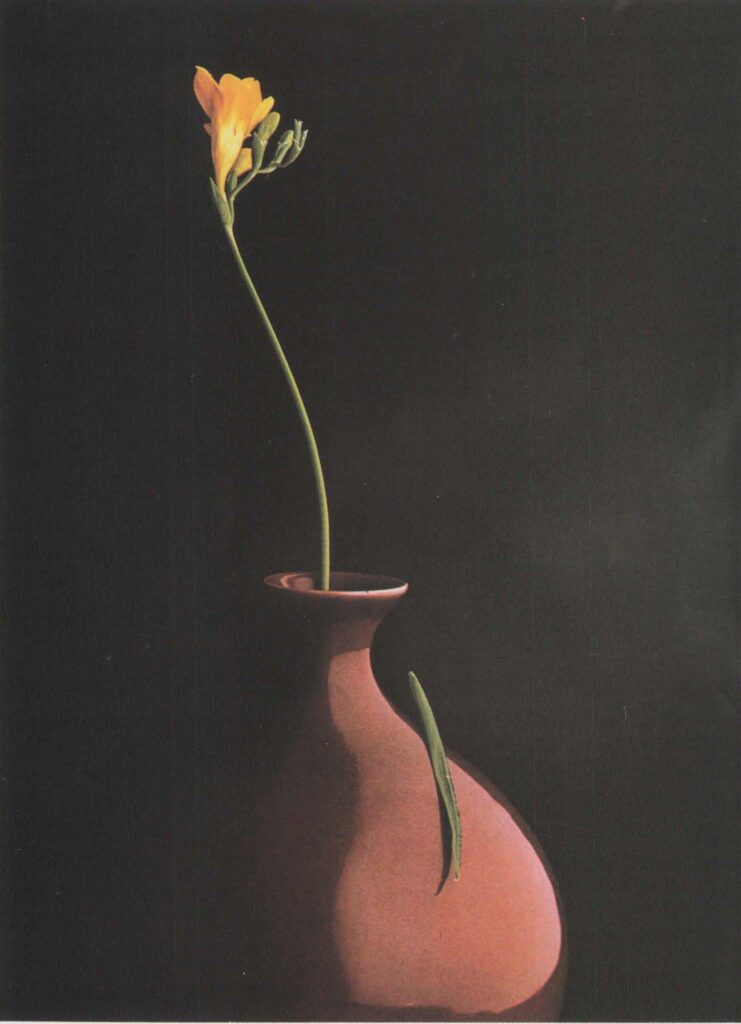 Flower & Vase