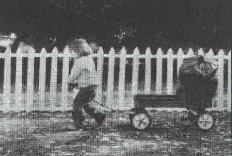 Wagon