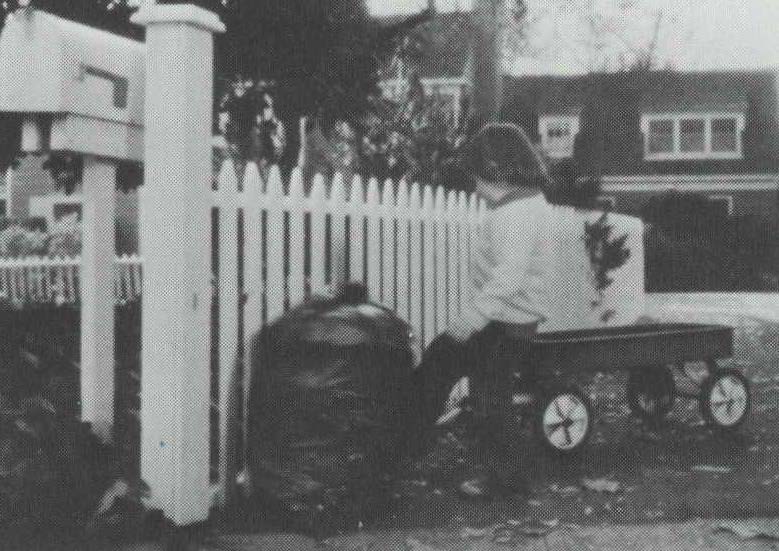 Wagon