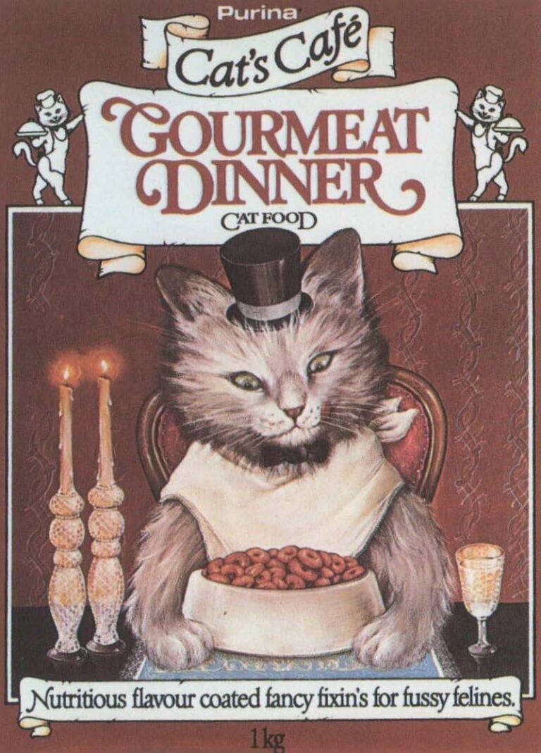 Cat's Cafe - Dinner