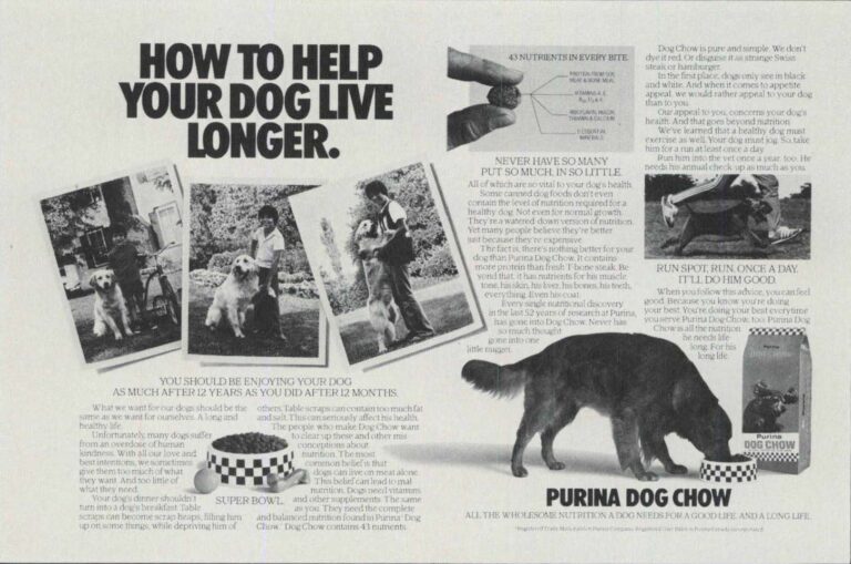 Help Your Dog Live Longer