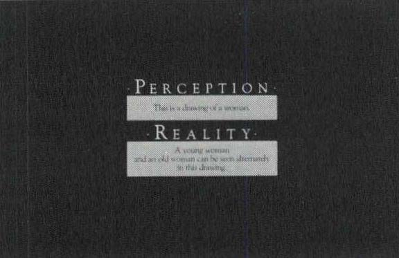 Perceptions