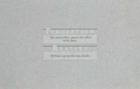 Perceptions