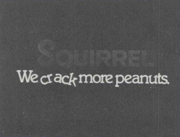 Squirrel - We Crack More Peanuts