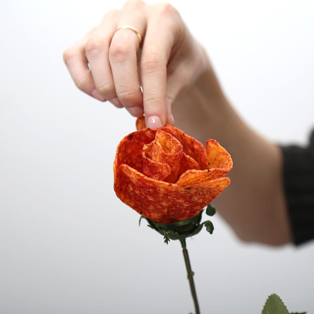 Doritos Ketchup Roses