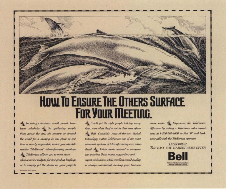 Surface Moons Ground