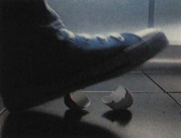 Egg Cord One Step
