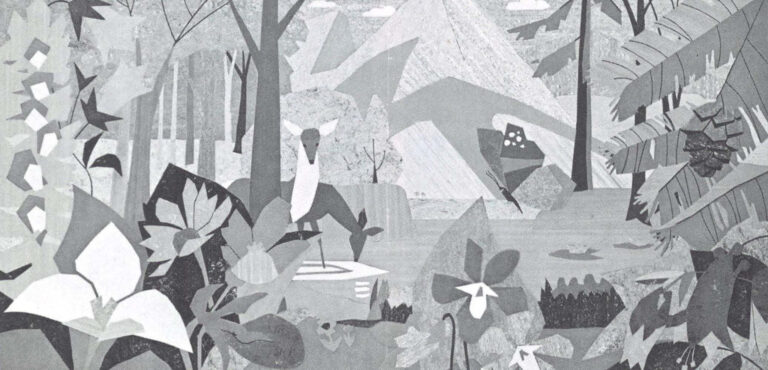 Dominion Oilcloth & Linoleum Co. Ltd.