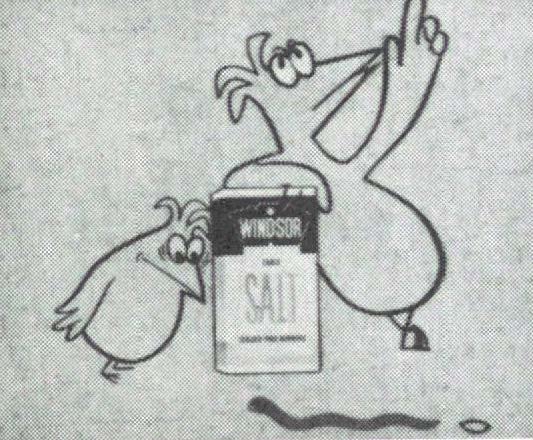 Windsor Salt