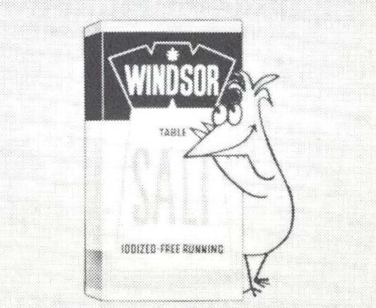 Windsor Salt