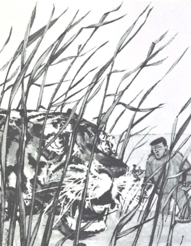 Star Weekly/Toronto Star Ltd.