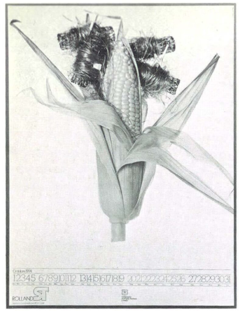 La Compagnie de Papier Rolland, Ltee