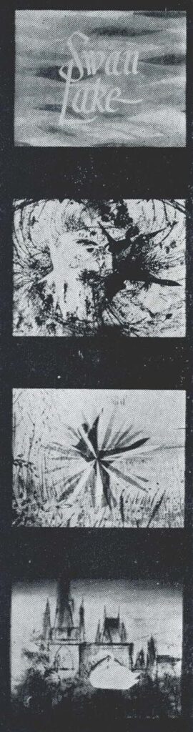 246