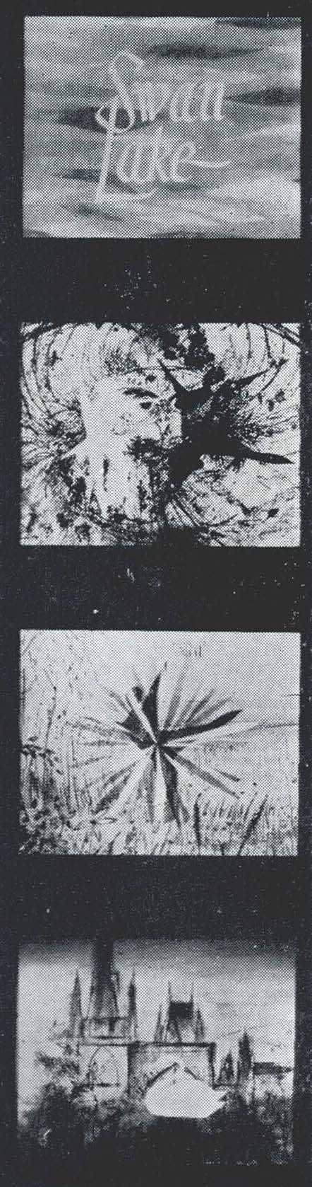 246