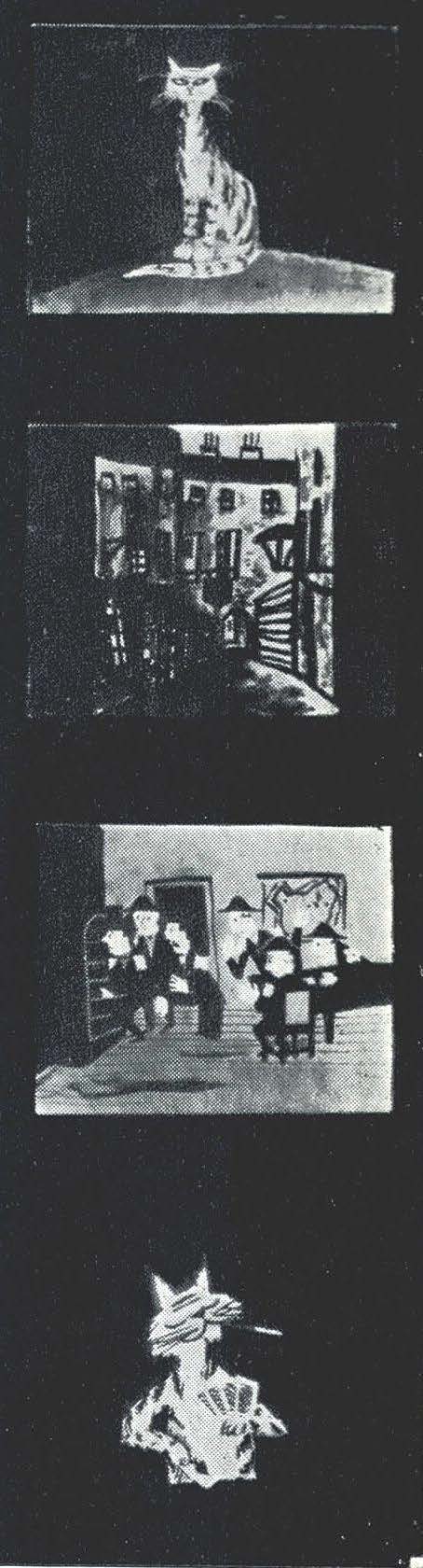 251