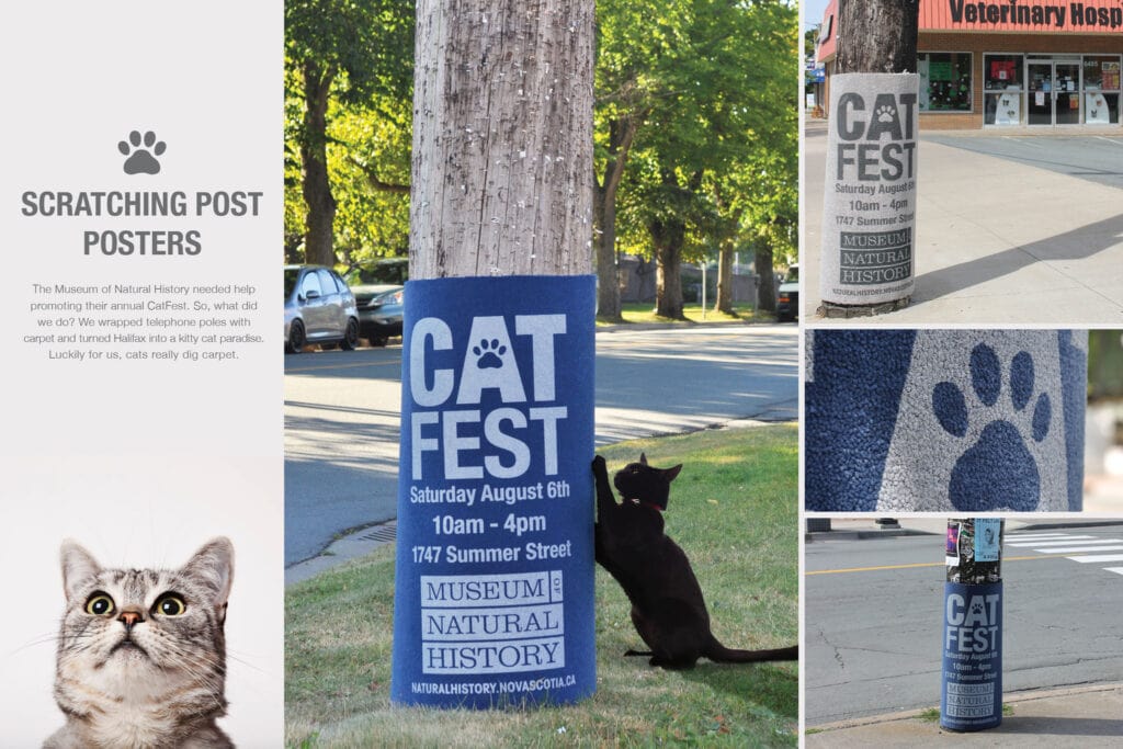 Cat Scratch Poster