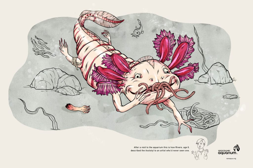 What Will You See? Octopus, Axolotl, Lionfish