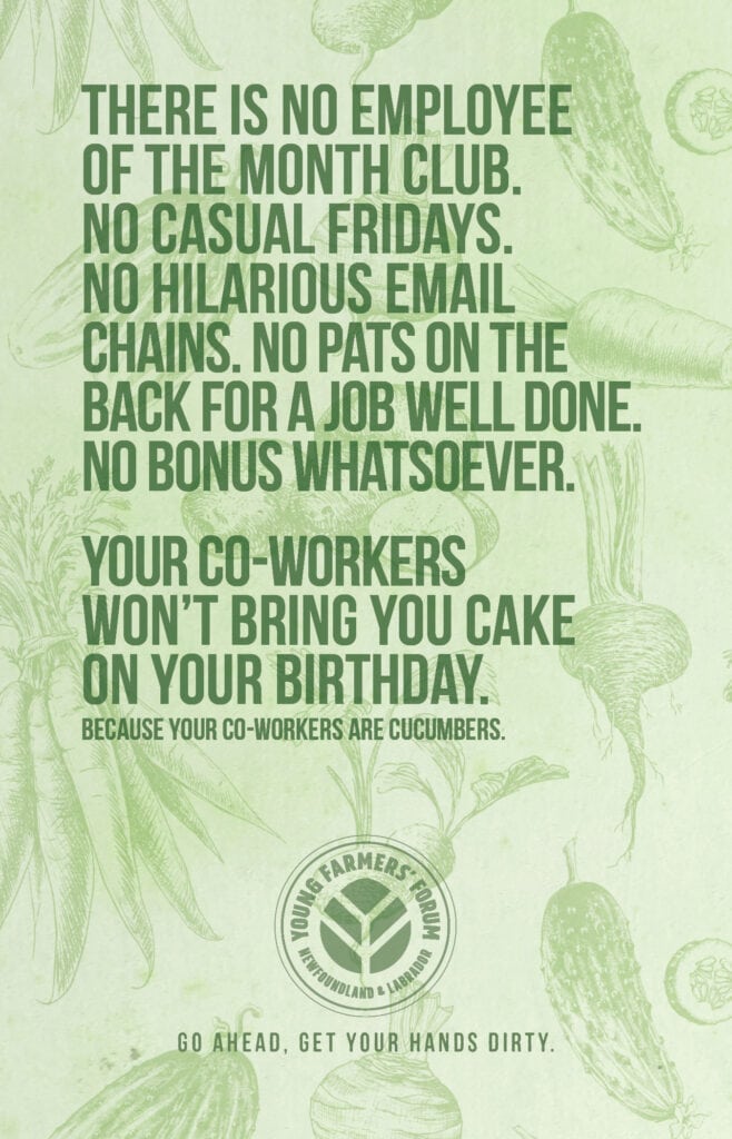 Cucumbers, Mother Nature, Cow Shit