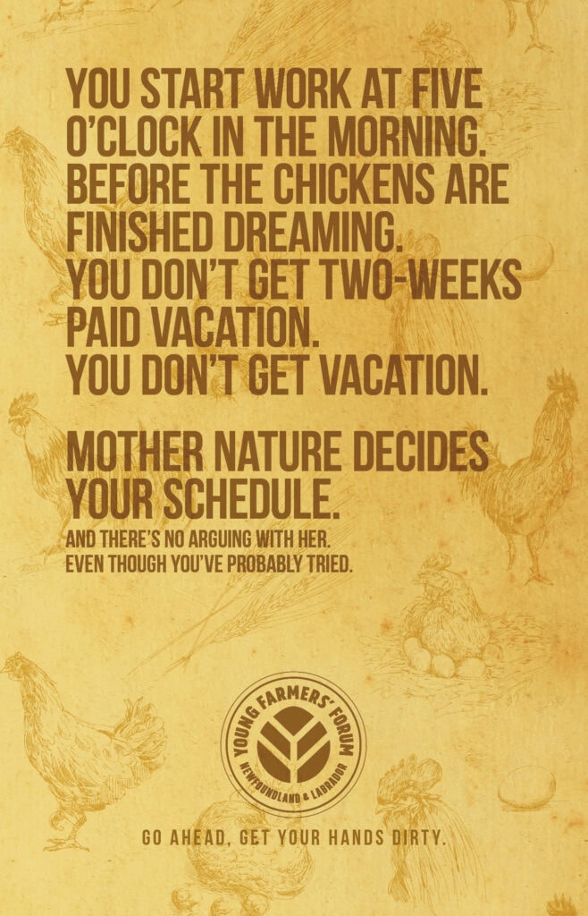 Cucumbers, Mother Nature, Cow Shit