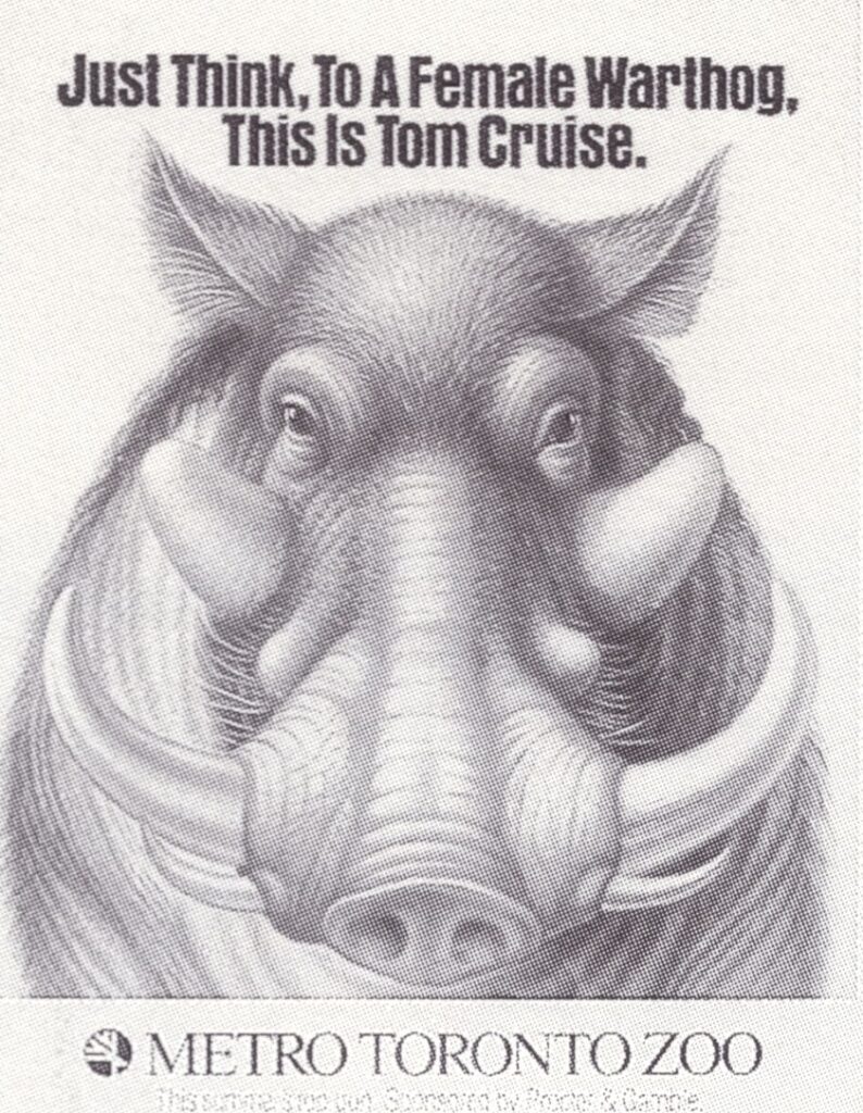 Just Think, To A Female Warthog This Is Tom Cruise