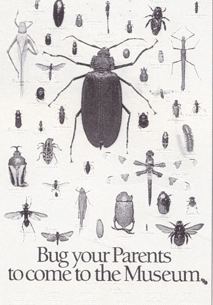 Bugs