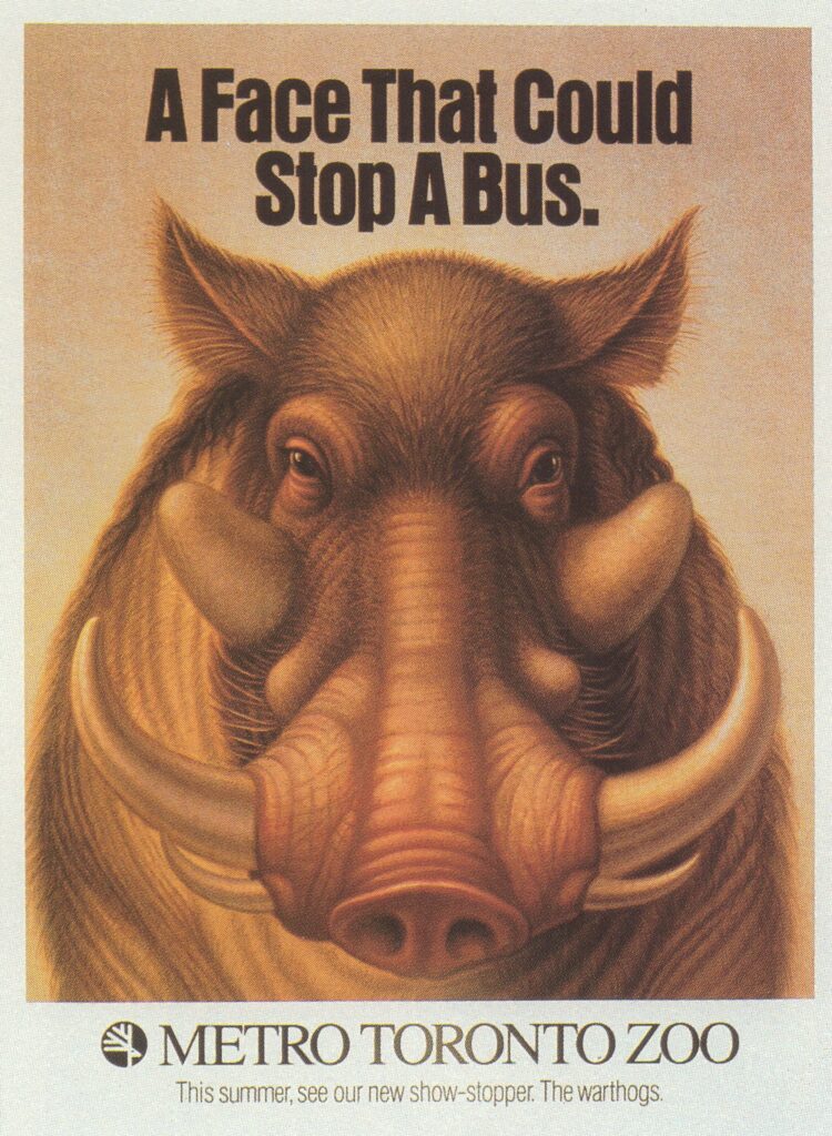 A Face That Could Stop A Bus