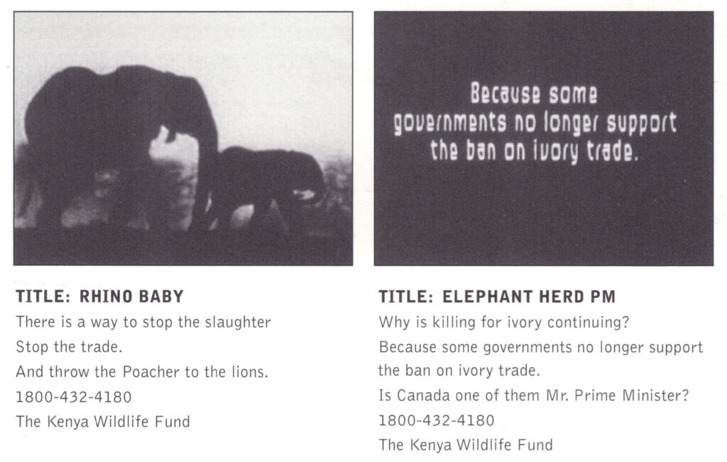 Rhino Baby,Elephant Herd PM