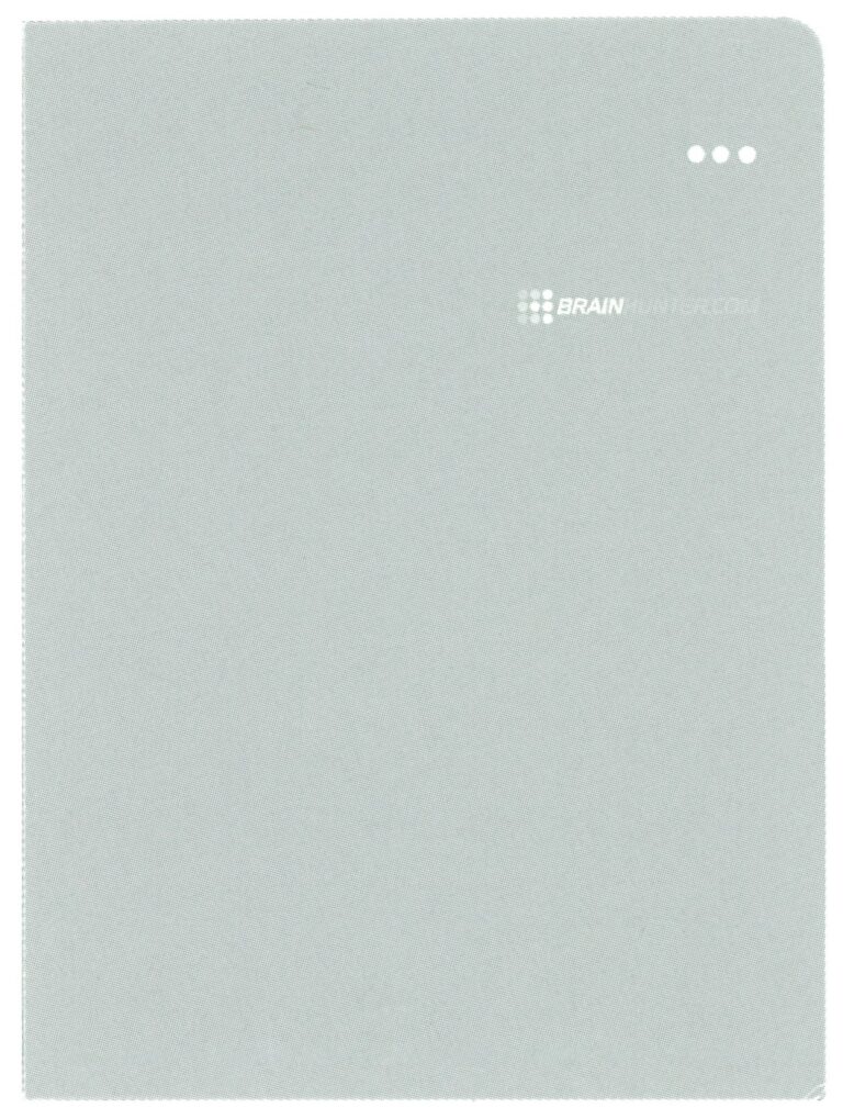 Brainhunter Identity