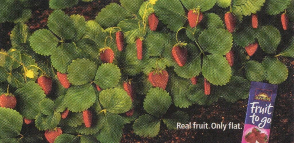 Strawberries, Apple Tree, Oranges