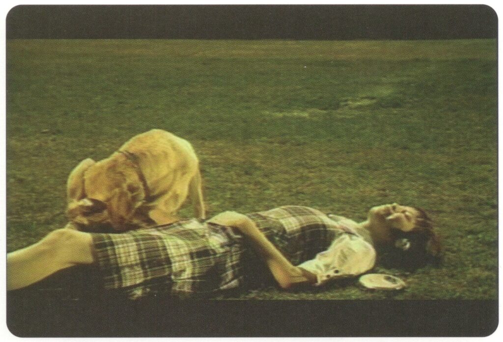 Dog