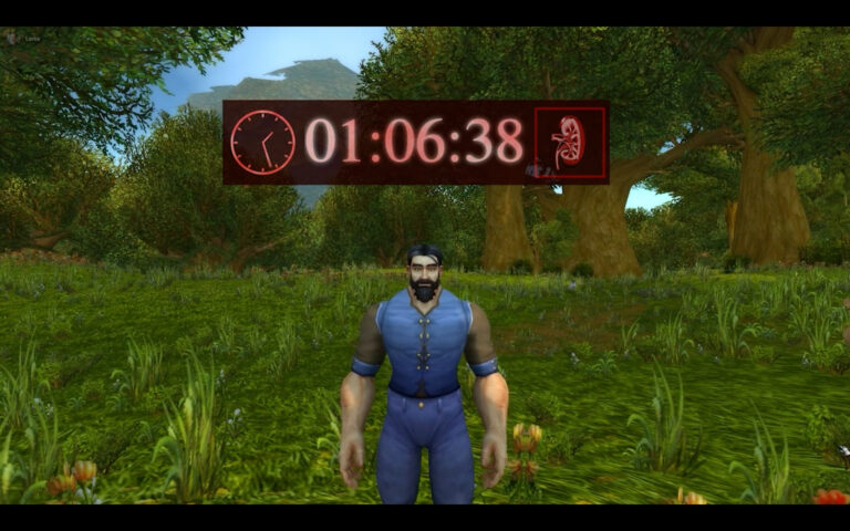 World of Warcraft Organ Donation