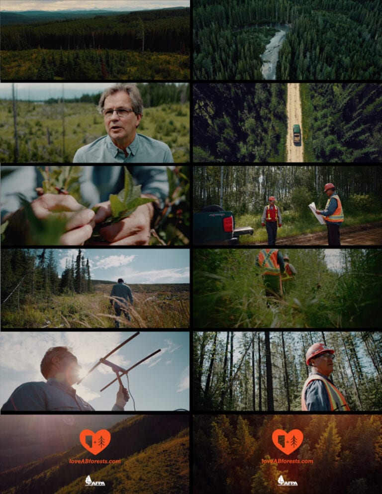 Love Alberta Forests