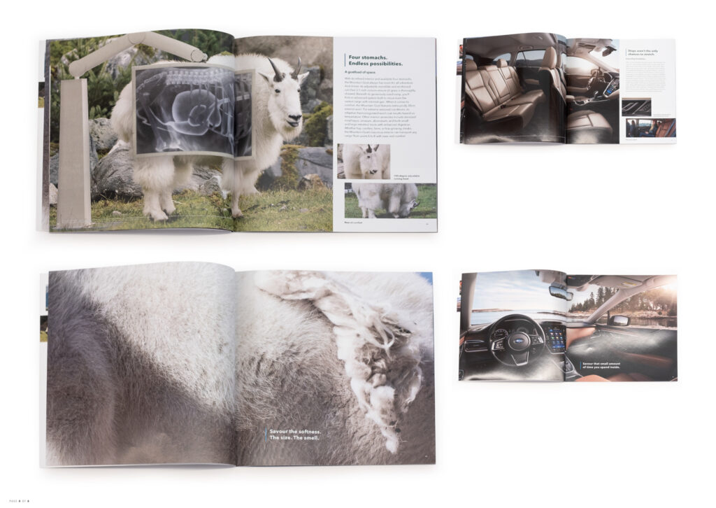 Subaru Goat Brochure: A car brochure about a goat