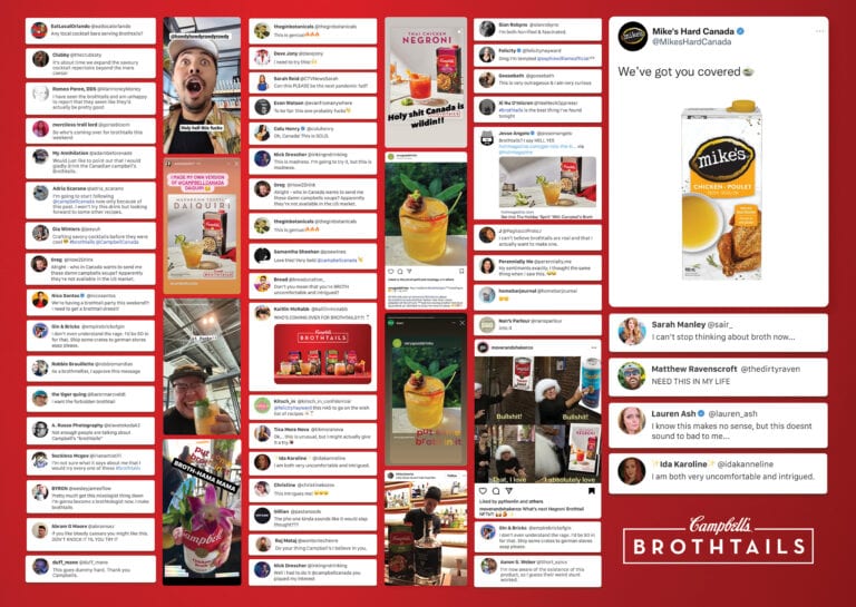 Campbell's Brothtails