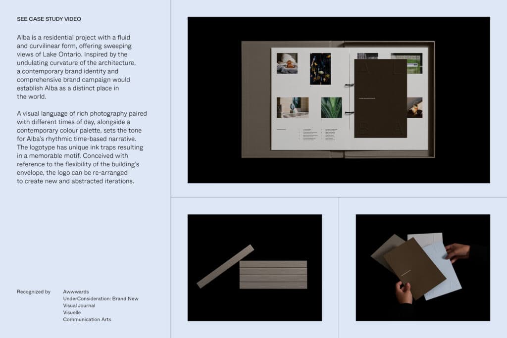 Alba Brand Identity