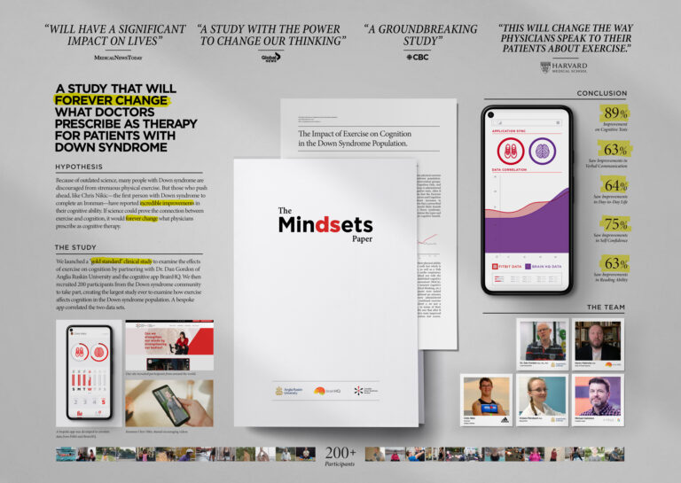 The Mindsets Paper