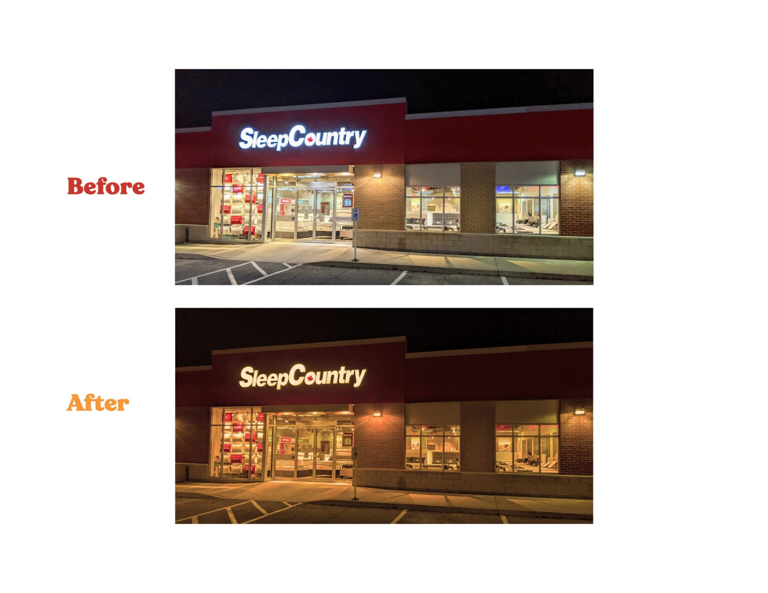 Patagonia Annual Report The ADCC