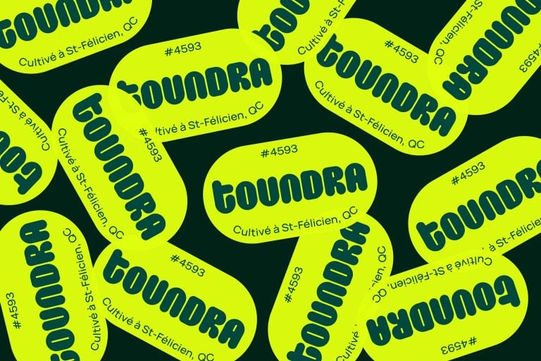 Toundra