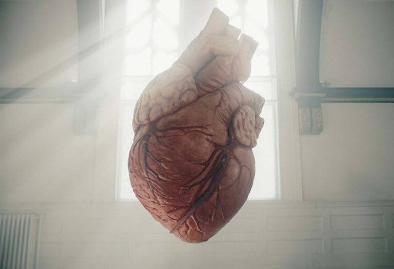 Heart