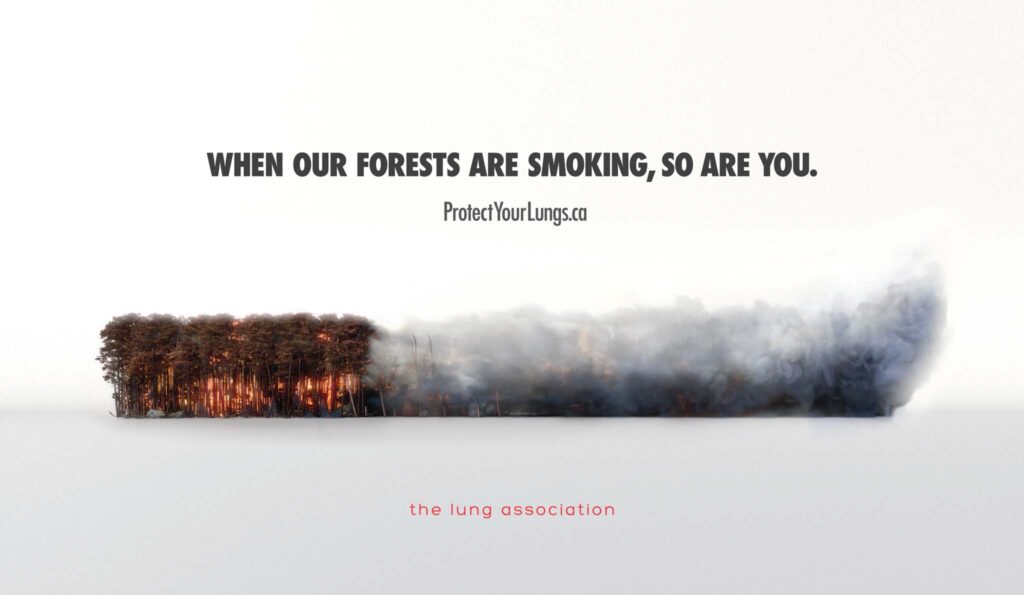 The Smoking Forest