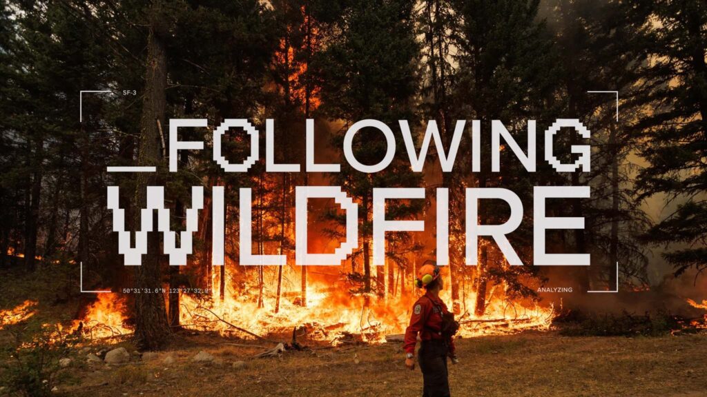 Following Wildfire