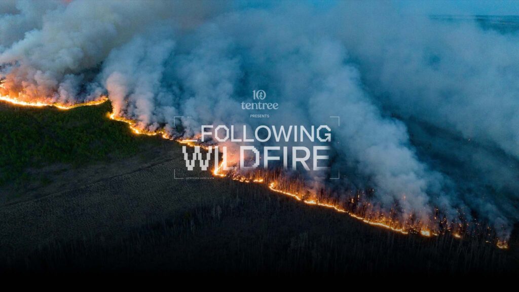 Following Wildfire
