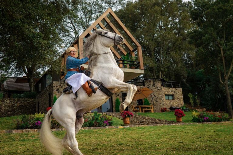 Book Whoever You Want To Be