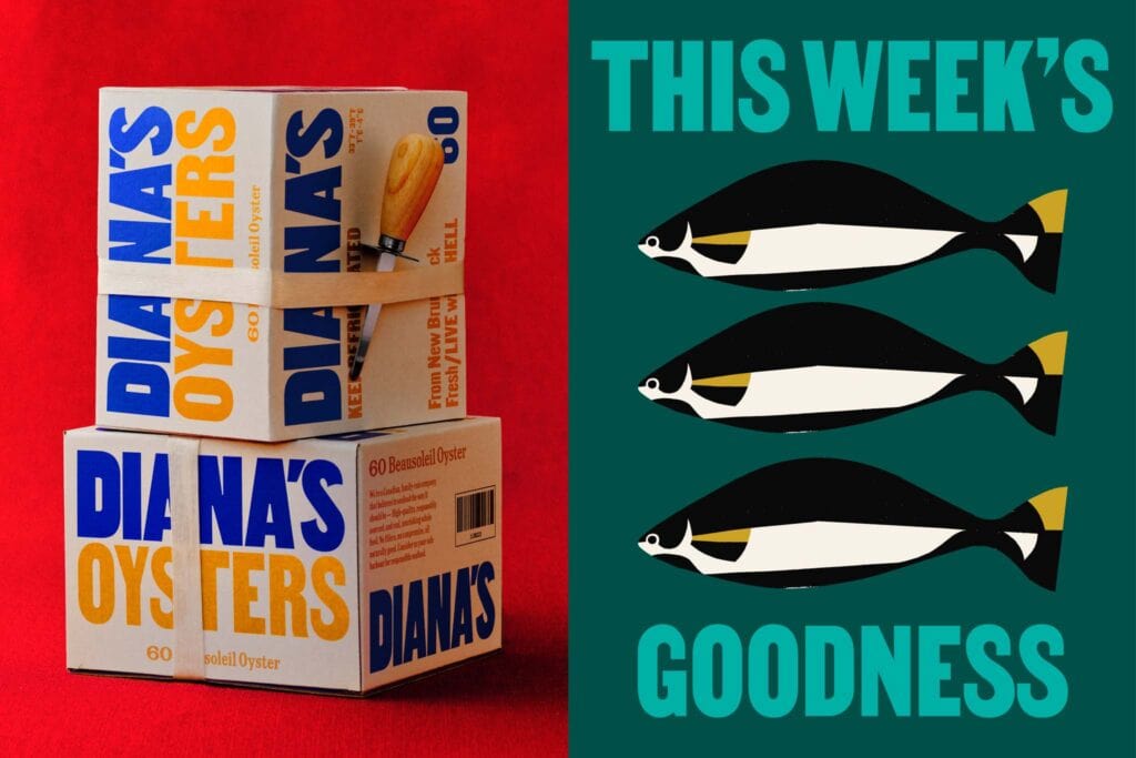 Diana's Seafood Brand Evolution