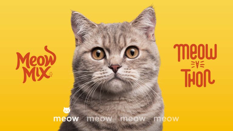 Meow-a-Thon