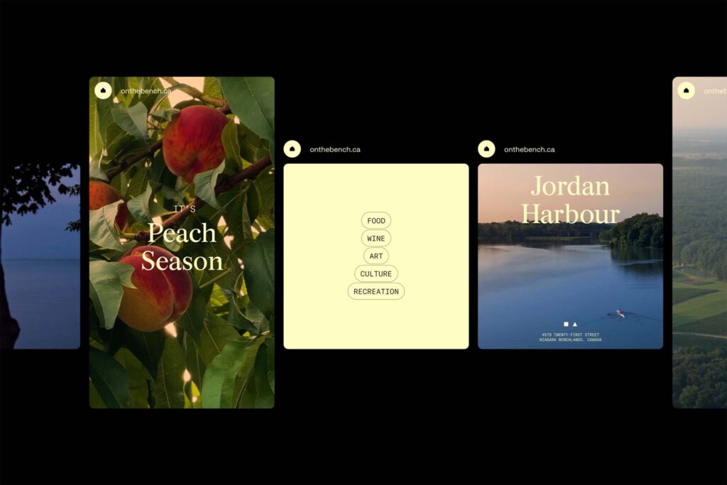 On the Bench – Design Program