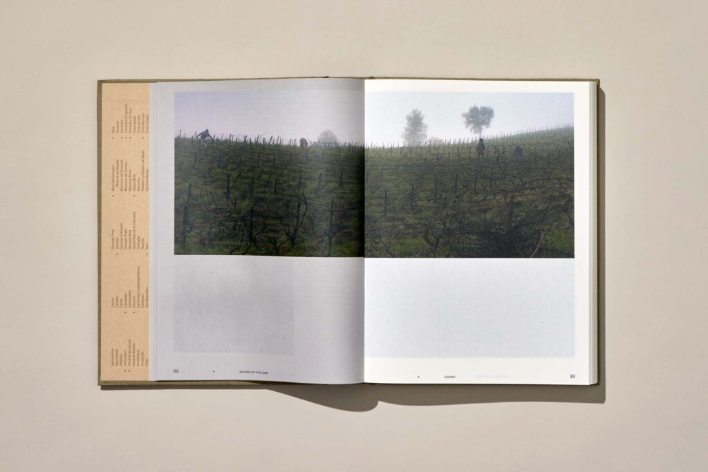 Echoes of the Land: Winemakers of Portugal